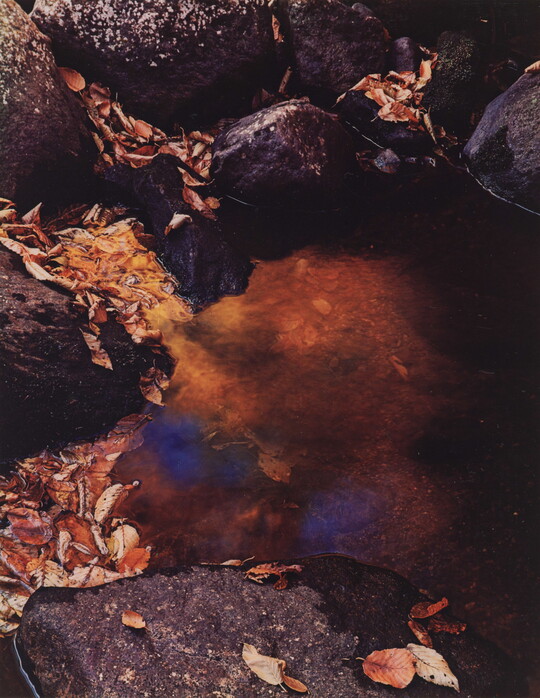 A color photograph of water reflecting skies and shadows surrounded by large stones and patches of brown fall leaves.