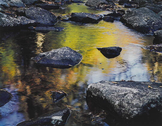 A close-up color photograph of rocks in a stream that reflects the yellow leaves of the trees above.