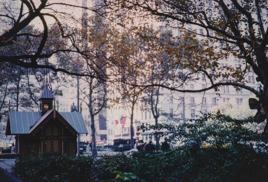 A color photograph of a small house-like structure nestled between trees that are surrounded by skyscrapers.
