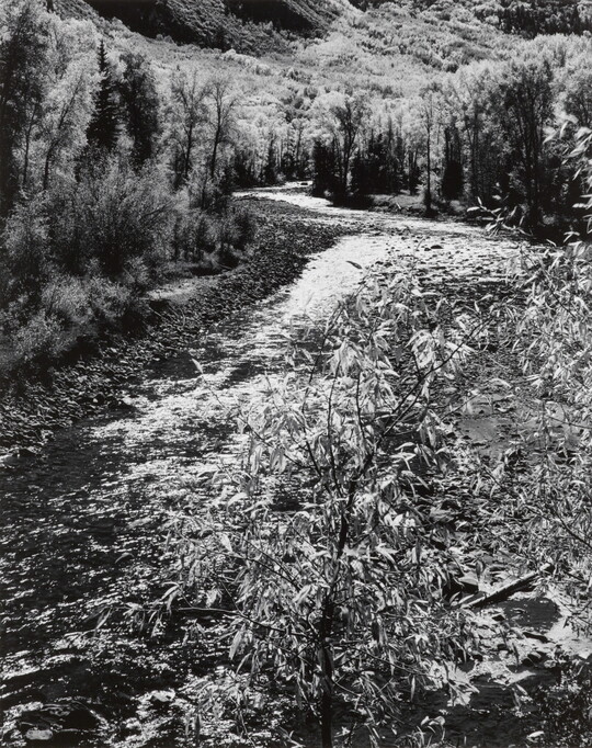 A black-and-white photograph of a mountain stream, tall trees on its banks, disappearing into the distance.