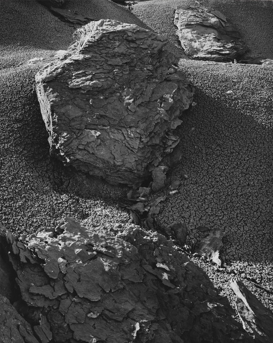 A black-and-white photograph of highly-textured, flaky rocks on a sandy slope.
