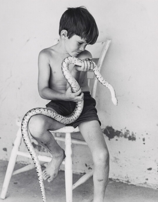 A black-and-white photograph of a shirtless young White boy sitting on a wooden chair holding a large snake.