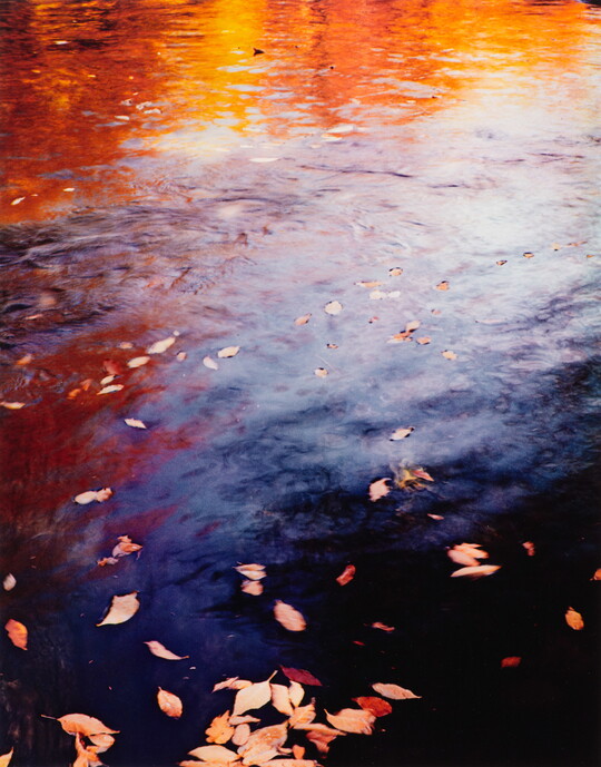 A color photograph of water reflecting autumn trees and with fall-colored leaves floating on top.