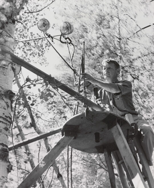 A black-and-white photograph of a White man on a ladder setting up lights on a scaffold next to a tree.