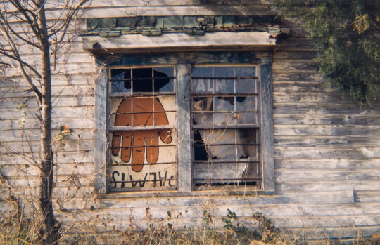 A color photograph of a set of broken windows in a wood building displaying an upside down advertisement for palm reading.