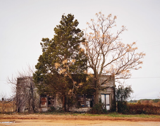 A color photograph of a run-down wood building next to several large trees that look like they are encroaching on it.