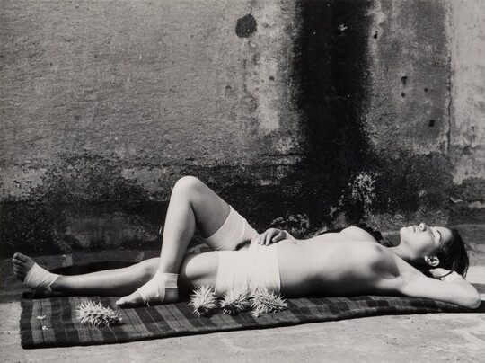 A black-and-white photograph of a young, topless White woman basking in sunlight next to sharp cacti.