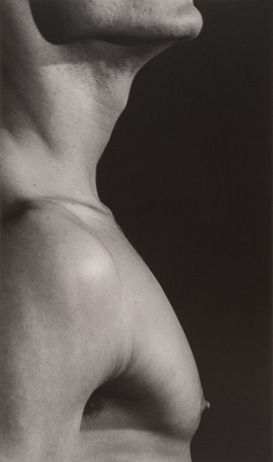 A close-up black-and-white photograph of a White man in profile from chin to just below the shoulders.