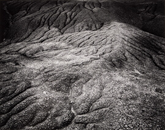 A black-and-white photograph of a snake camouflaged against a rocky surface with curvy fissures.
