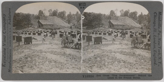 Two almost identical side-by-side black-and-white photographs of rows of dog houses in a field, and dogs and people walking among them.