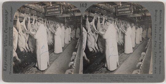 Two almost identical side-by-side black-and-white photographs of White men in white aprons standing next to a row of pig carcasses hanging from hooks.