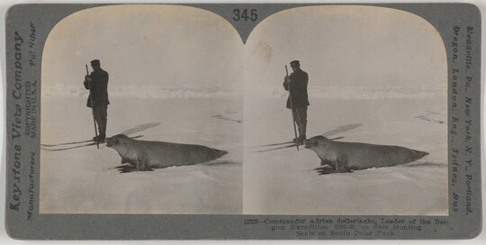 Two almost identical black-and-white photographs side by side of a man standing next to a seal in a snowy landscape.