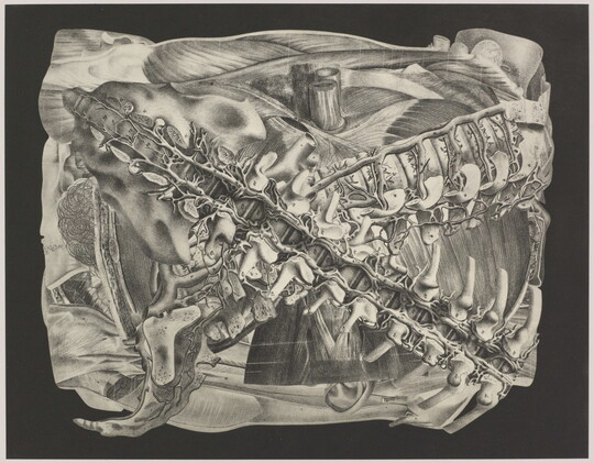 An abstract black-and-white photograph of overlapping bones, vertebrae, and muscle-like structures arranged in a square.