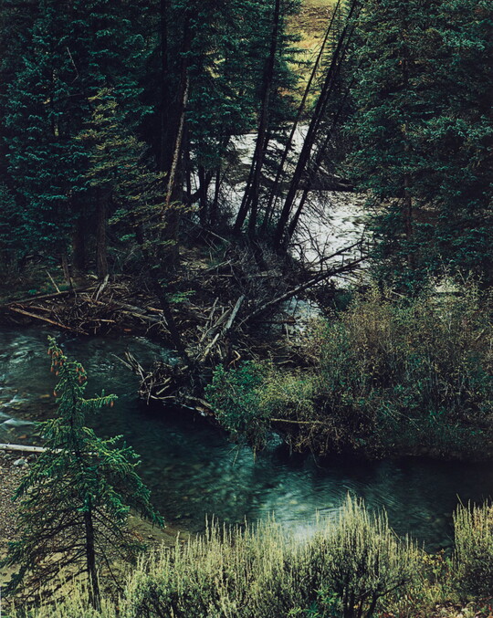 A color photograph of a river or stream running though a pine forest as seen from above.