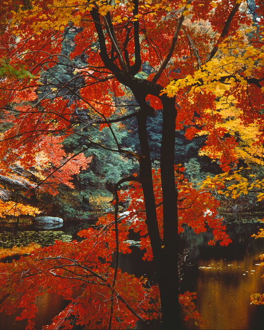 Robert Glenn Ketchum | Amon Carter Museum of American Art