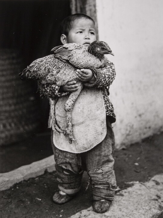 A black-and-white photograph of a Chinese boy toddler holding a chicken in his arms.