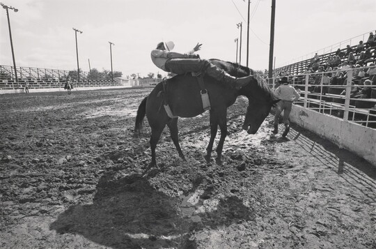 A black-and-white photograph of a person riding bareback on a rearing horse in a dirt arena.