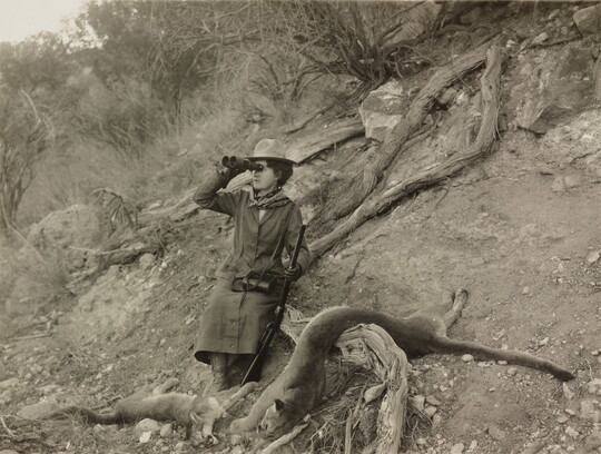 A black-and-white photograph of a woman looking through binoculars holding a rifle with two mountain lion carcasses on the ground.