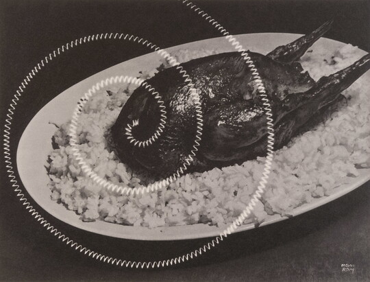 A black-and-white photograph of roasted poultry on a bed of white rice with an electric coil spiraled over it.