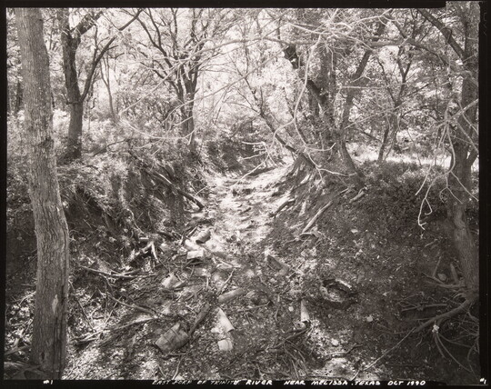 A black-and-white photograph of dry riverbed covered with litter in a wood.