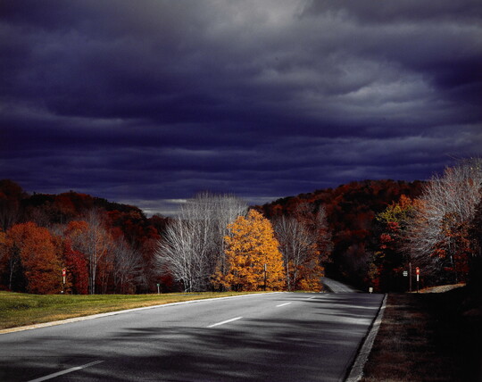 A color photograph of a forest with fall foliage and bare trees beside an asphalt road under a dark stormy sky.