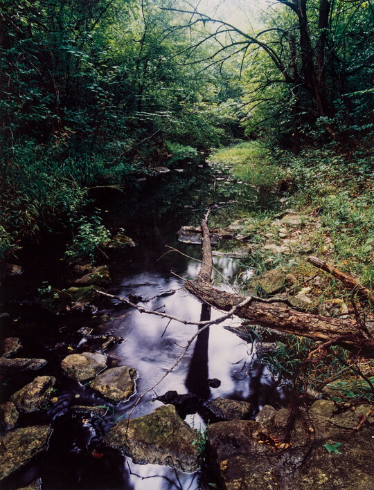 A color photograph of a stream surrounded by rocks, logs, and forest.