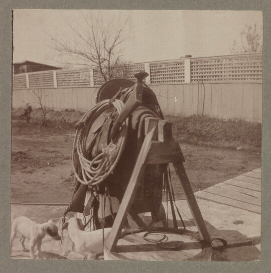 A sepia-toned photograph of the front view of a saddle and rope resting on a wooden sawhorse, with two small dogs standing underneath.
