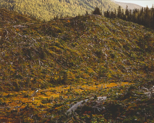 Robert Glenn Ketchum | Amon Carter Museum of American Art