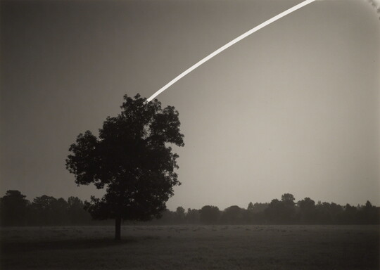 A black-and-white photograph of a tree in a field at night; a white line gently arcs out of the tree to the upper right of the image.