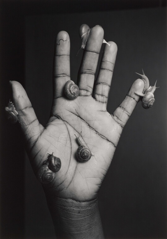 A black-and-white photograph of a open-palmed hand covered with snails crawling on the fingers and palm.