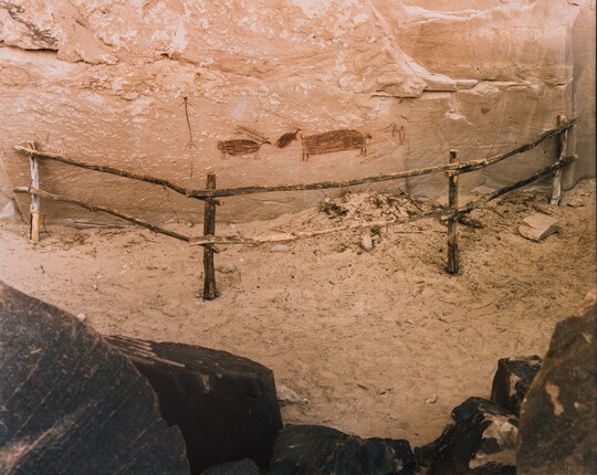 A color photograph of a wood post-and-rail fence blocking a rock wall with animal petroglyphs on it.