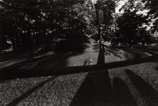 A black-and-white photograph of trees casting long shadows over a grass mound.
