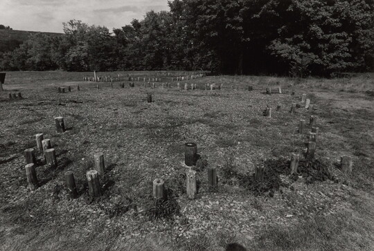 A black-and-white photograph of a grassy field with many wooden posts sticking up from the ground.