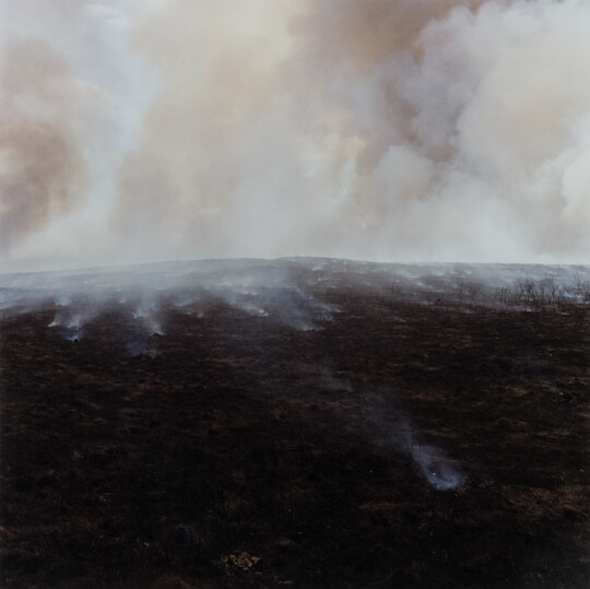 A color photograph of black, scorched land with smoke rising into the sky across the horizon.