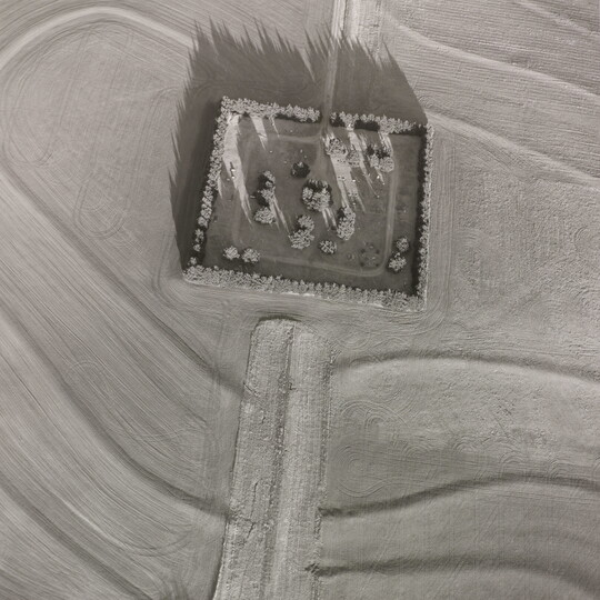 A black-and-white aerial photograph of a square copse of trees surrounded by farm land.