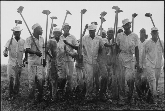 A black-and-white photograph of a group of Black men dressed in white shirts, pants, and hats carrying garden hoes.