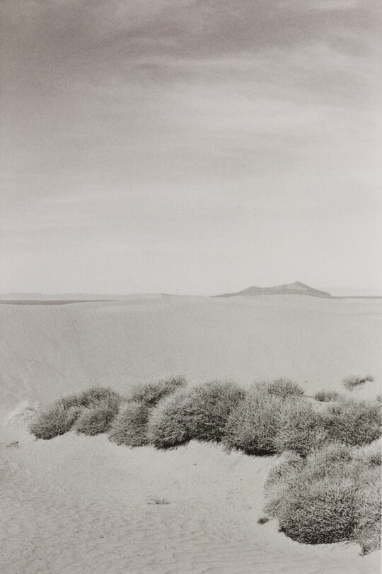 A black-and-white photograph of a desert landscape with scrubby vegetation in the foreground and mountains in the distance.