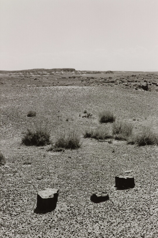 A black-and-white photograph of a desert landscape with sparse vegetation and three rocks in the foreground.