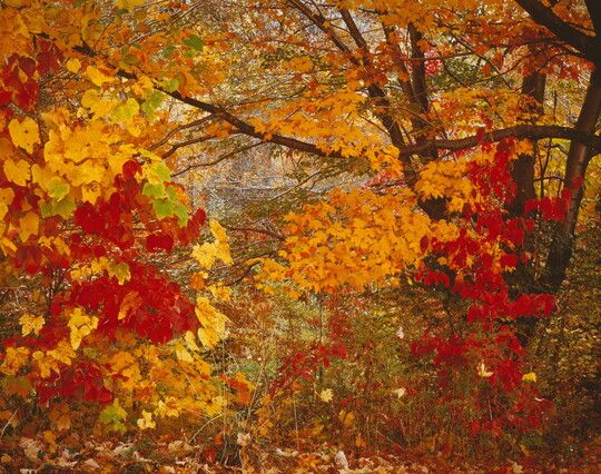 Robert Glenn Ketchum | Amon Carter Museum of American Art