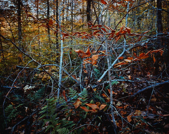 ROBERT GLENN KETCHUM ロバート・グレン・ケッチャム 写真集 Home - Robert Glenn Ketchum