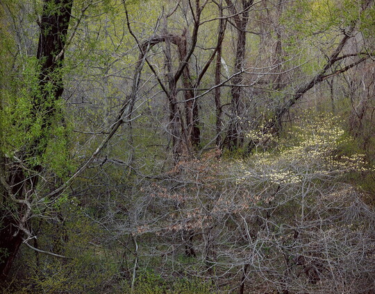 Robert Glenn Ketchum | Amon Carter Museum of American Art