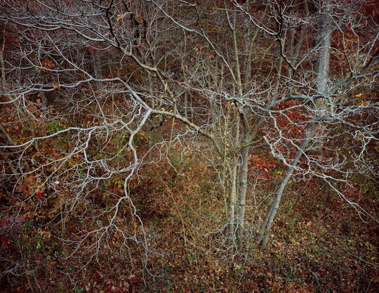 Robert Glenn Ketchum | Amon Carter Museum of American Art