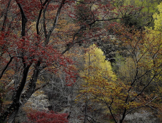 Robert Glenn Ketchum | Amon Carter Museum of American Art