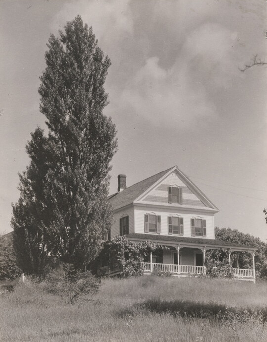 A black-and-white photograph of a three-story farmhouse with a wrap-around porch surrounded by tall grass and a large pine tree.