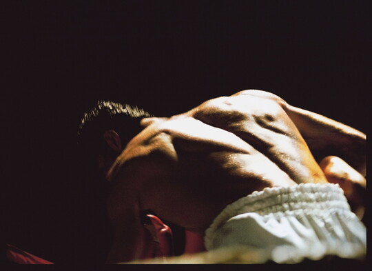A color photograph of a boxer's back with lighting from above highlighting the contours of his muscles.