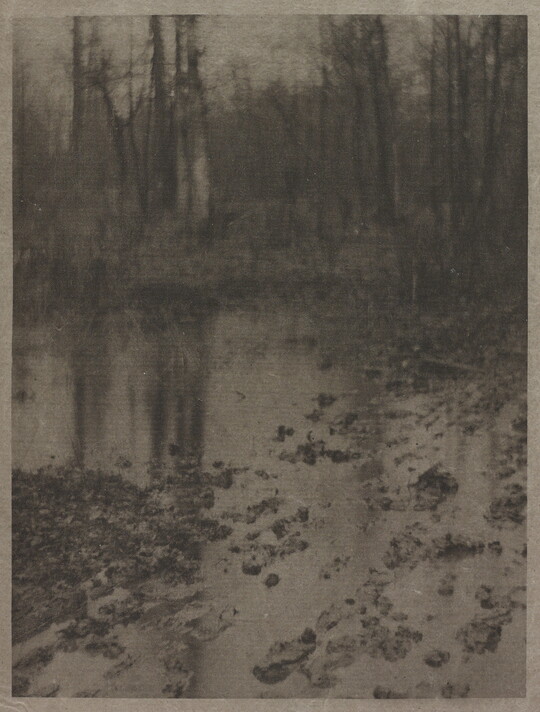 A soft-focused, black-and-white photograph of a muddy pool of water with tall, leafless trees in the background.