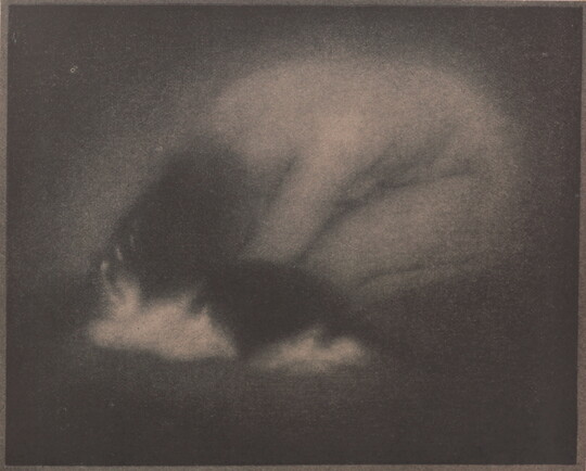 A very soft-focus black-and-white photograph of a nude White woman curled on the ground with a cat lying in front of her.