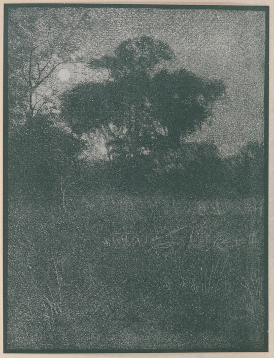 A dark, soft-focus, black-and-white photograph of a bright moon rising from behind trees.