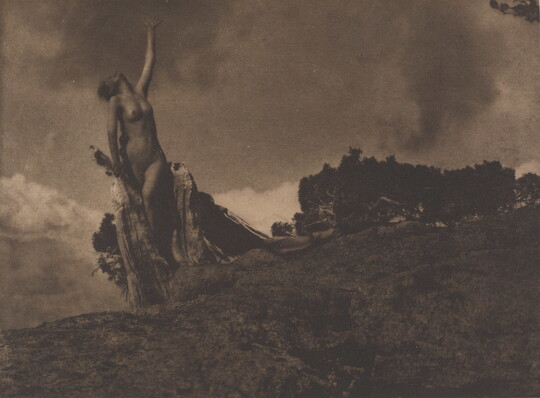 A sepia-toned photograph of a nude woman leaning on the trunk of a tree and reaching up toward the sky.