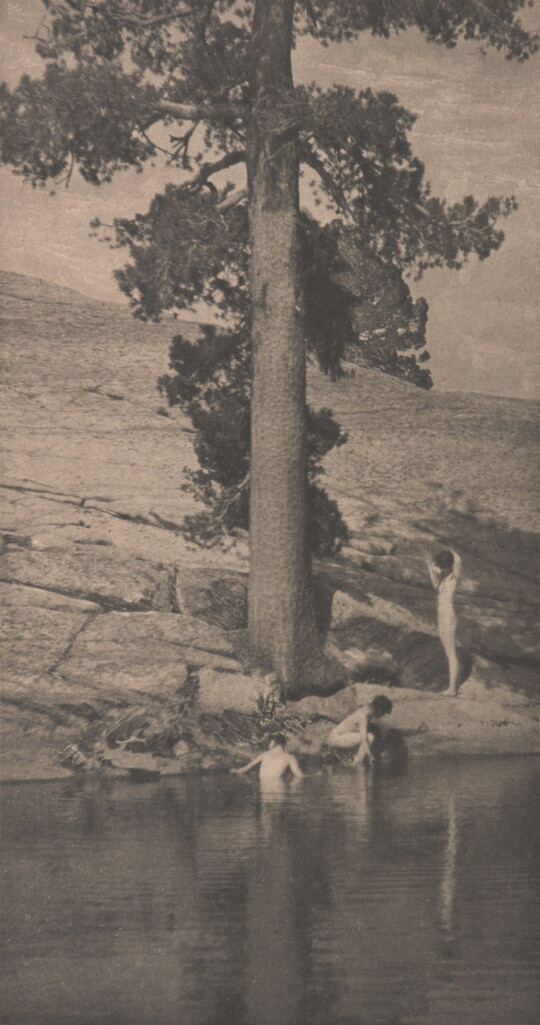 A sepia-toned photograph of three nude women bathing in a pool of water under a large tree.